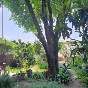 https://room-with-a-garden.it-lombardy.com
